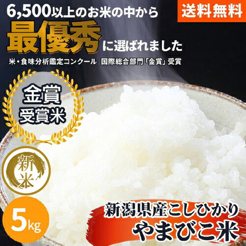 新米 令和4年産【金賞受賞】数量限定 新潟県産 コシヒカリ 5kg 送料無料 高級 ...