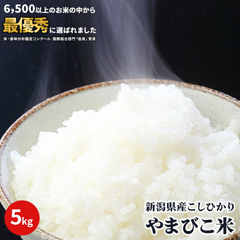 米 5kg コシヒカリ 新潟 令和5年 美味しいお米 送料無料 コシヒカリ【金賞受賞】数量限定 新潟県産 5キロ 送料無 高級 白米 単一原料 新潟産 こしひかり ブランド米 おいしい お米 美味しい お米 国内最大級米コン金賞を獲得した米 冷めても美味しい 直送 新米