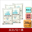 無洗米 こめやのおこめ(エコノミー品) 20kg(5kg×4袋)お米 白米 送料無料 プレゼント 仕送り 贈答米 備蓄米 非常用 安い 訳あり 大容量 まとめ買い 【無_エコノミー米__20kg】