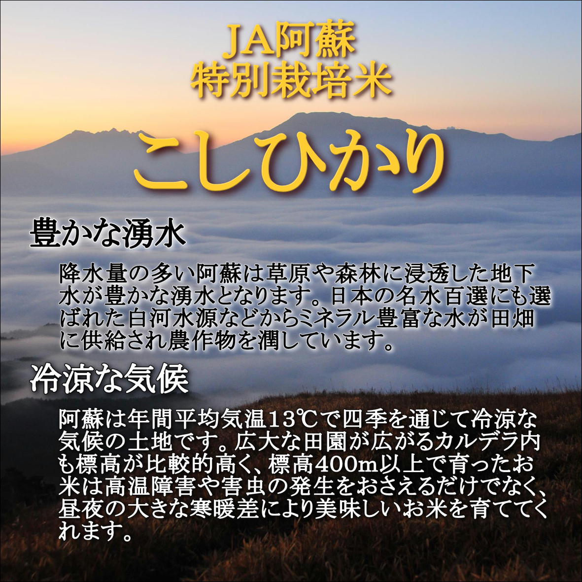 無洗米 10kg 送料無料　無洗米　令和7年産　JA阿蘇　特別栽培米こしひかり　10kg(5kg×2袋) お米 白米 熊本県産 送料無料 プレゼント 仕送り 贈答米 備蓄米 非常用　【無特＿阿蘇こしひかり10kg】