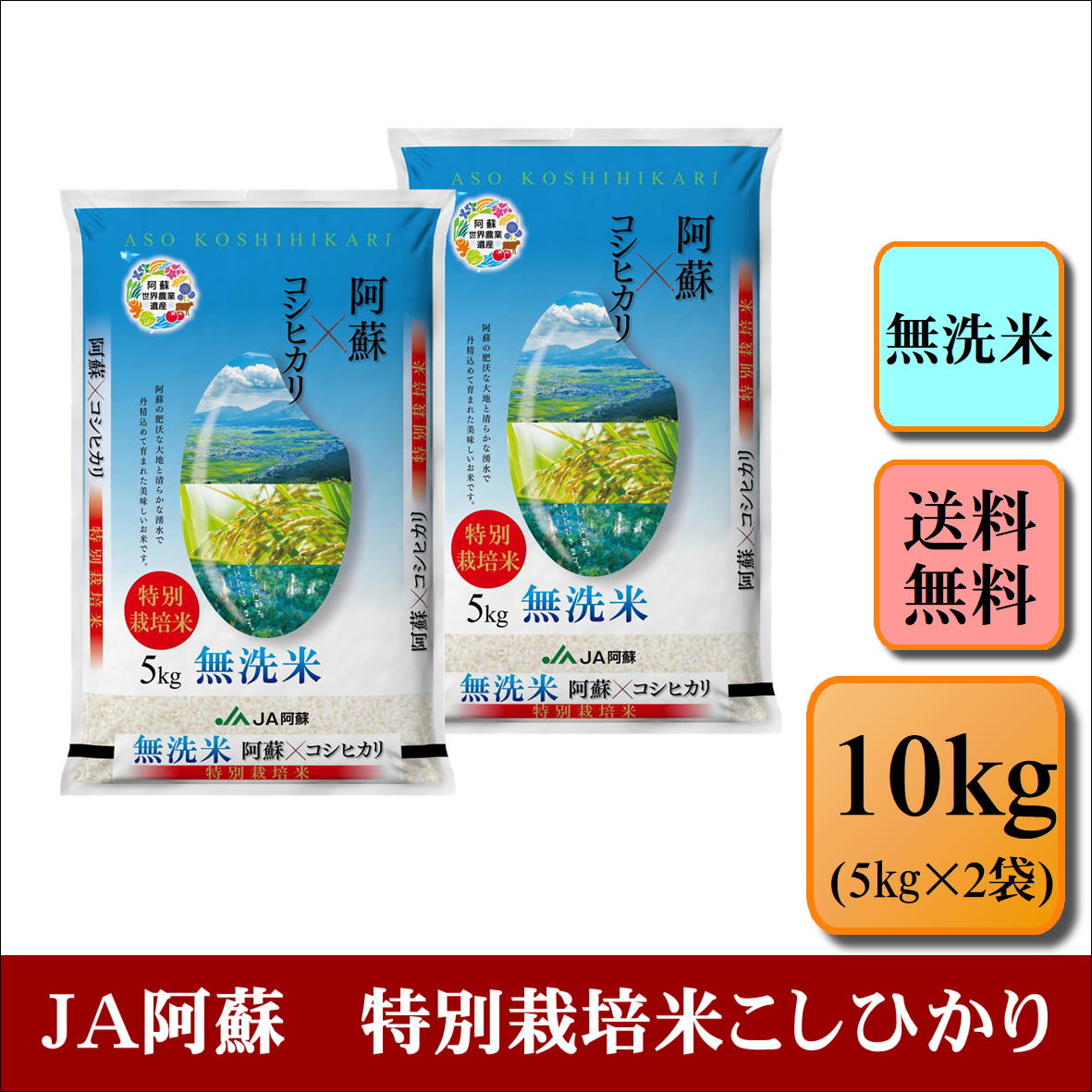 無洗米　令和4年産　JA阿蘇　特別栽培米こしひかり　10kg(5kg×2袋) お米 白米 熊本県産 送料無料 プレゼント 仕送り 贈答米 備蓄米 非常用　【無特＿阿蘇こしひかり10kg】