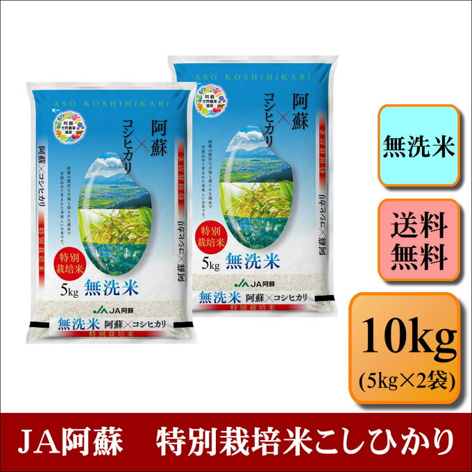 無洗米　令和4年産　JA阿蘇　特別栽培米こしひかり　10kg(5kg×2袋) お米 ...