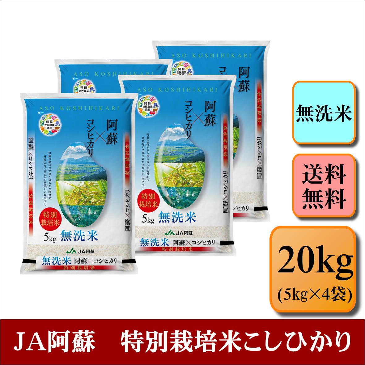 無洗米　令和4年産　JA阿蘇　特別栽培米こしひかり　20kg(5kg×4袋) お米 ...