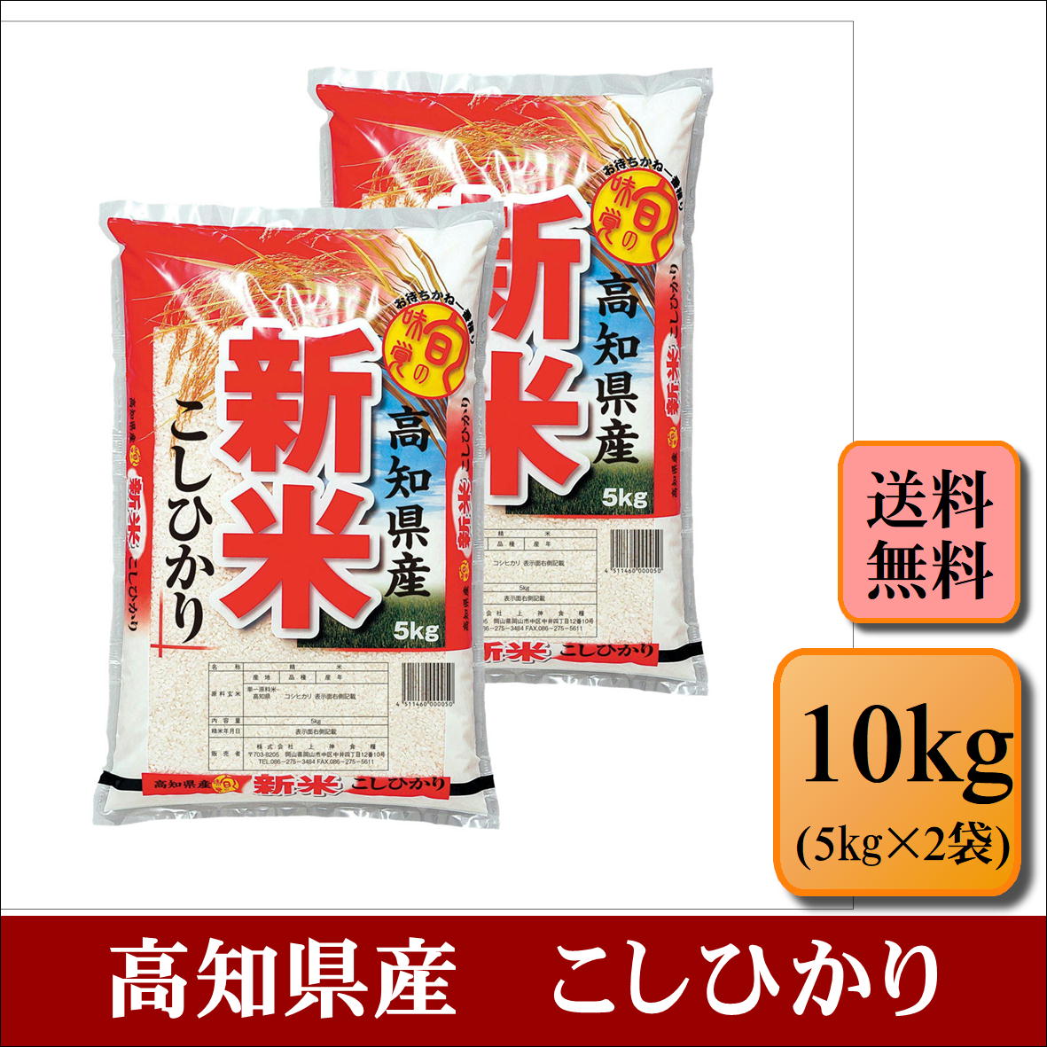 新米　令和5年産　高知県産　こしひかり　10kg(5kg×2袋)お米 白米 送料無料...