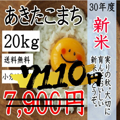 30年産　千葉県産あきたこまち20kg （精米すると約18kg）小分け無料【送料無料...