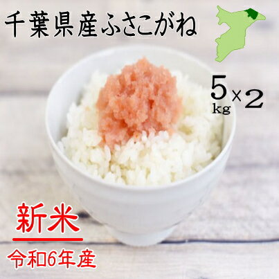 令和5年産　千葉県産ふさこがね　10kg（白米5kg×2）　ピカピカ　送料無料　お米　米　白米　ふさこがね　千葉県産　産地直送 10kg 米 10kg 送料無料　10kg　令和5年産のサムネイル