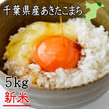 令和3年産　千葉県産あきたこまち　5kg　送料無料　お米　米　白米　あきたこまち　千葉県産　産地直送 5kg　送料無料 　5kg 米 5kg　送料無料