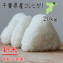 令和4年産　千葉県産コシヒカリ　20kg　小分け無料　送料無料　ツヤツヤ　ピカピカ　お米　米　白米　こしひかり　千葉県産　産地直送 　20kg　小分け無料　 米 20kg　送料無料　20kg 送料無料　　令和4年　20kg