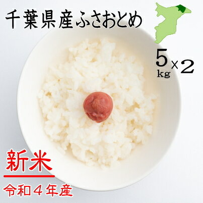 令和3年産　千葉県産　ふさおとめ　10kg（5kg×2）　送料無料　お米　米　白米　ふさおとめ　千葉県産　産地直送 10kg　精米無料 10kg 米 10kg　小分け　 米 10kg 送料無料