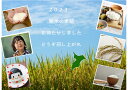 米5キロ　令和5年産　千葉県産コシヒカリ　白米4.4kg　送料無料　お米　米　白米　ツヤツヤ　ピカピカ　まずは炊き立てを一口食べて　大粒　お米本来の甘さ　千葉県産　産地直送 5kg　送料無料 　5kg 米 5kg　産地直送 2