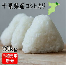 令和元年産　千葉県産　こしひかり　20kg【送料無料】（一部地域を除きます）中国・四国地方は送料（+300円）北海道、九州地方は送料（+400円）、沖縄は（+2500円） 【玄米20kg、精米は17.6kg】 【米　20kg　送料無料】　あす楽