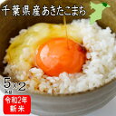 令和2年産　千葉県産あきたこまち　10kg(5kg×2）　送料無料　お米　米　白米　あきたこまち　千葉県産　産地直送 　10kg　送料無料 新米　10kg 米 10kg　送料無料 米 10kg 送料無料