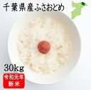 令和元年 新米 千葉県産 ふさおとめ30kg【送料無料】(一