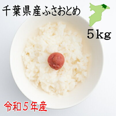 米5kg　令和5年千葉県産　ふさおとめ　白米4.4kg　ツヤツヤ　ピカピカ　送料無料　　お米　米　白米　ふさおとめ　千…