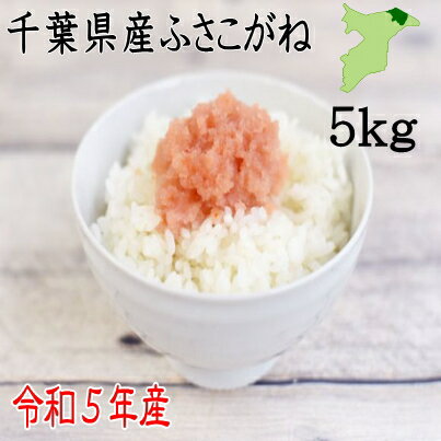 米5kg　令和5年産　千葉県産ふさこがね　白米4.4kg　送料無料　ピカピカ　お米　うまい　まずは炊き立てをどうぞ　米　白米　ふさこがね　千葉県産　産地直送 　新米　5kg　送料無料 米 5kg　送料無料