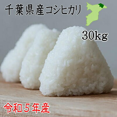 米30kg　令和5年産　千葉県産コシヒ