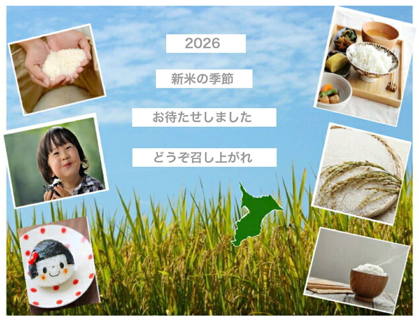 【新米入荷！】令和8年産　千葉県産ふさこがね　白米30kg　小分け無料　送料無料　...
