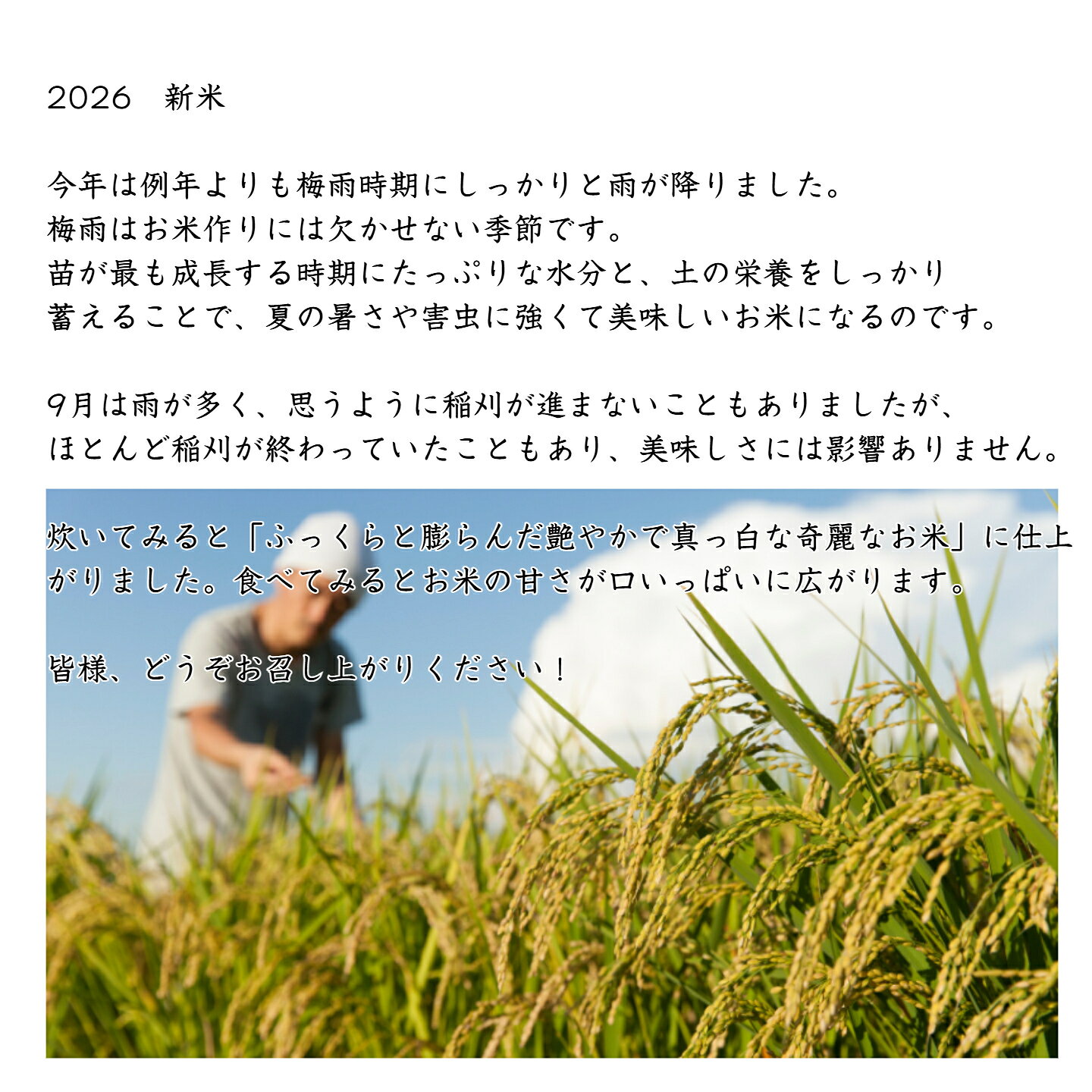【新米入荷！】令和8年産　千葉県産ふさこがね　白米30kg　小分け無料　送料無料　...