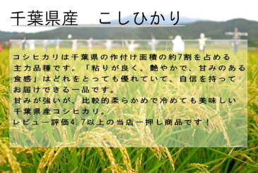 新米　令和2年産　千葉県産コシヒカリ　30kg　送料無料　お米　米　白米　こしひかり　千葉県産　産地直送 新米　30kg　送料無料 新米　30kg 米 30kg　送料無料　米 30kg 送料無料