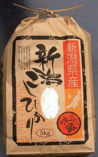 6ǯ㻺Ҥ̺5kg