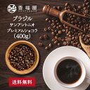 コーヒー豆ブラジル サンアントニオ プレミアムショコラ 400g 40杯分甘味 ナッツ 香り キャラメル チョコレートコーヒー豆ドリップ コーヒープレス コーヒーメーカー プレミアムコーヒー メール便 自家焙煎 香福屋