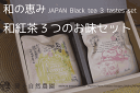 3種の和紅茶ギフトセット 健一自然農園　初つみ和紅茶 ゆず和紅茶 しょうが和紅茶 8袋入りギフトボックス【コンビニ受取対応商品】お中..