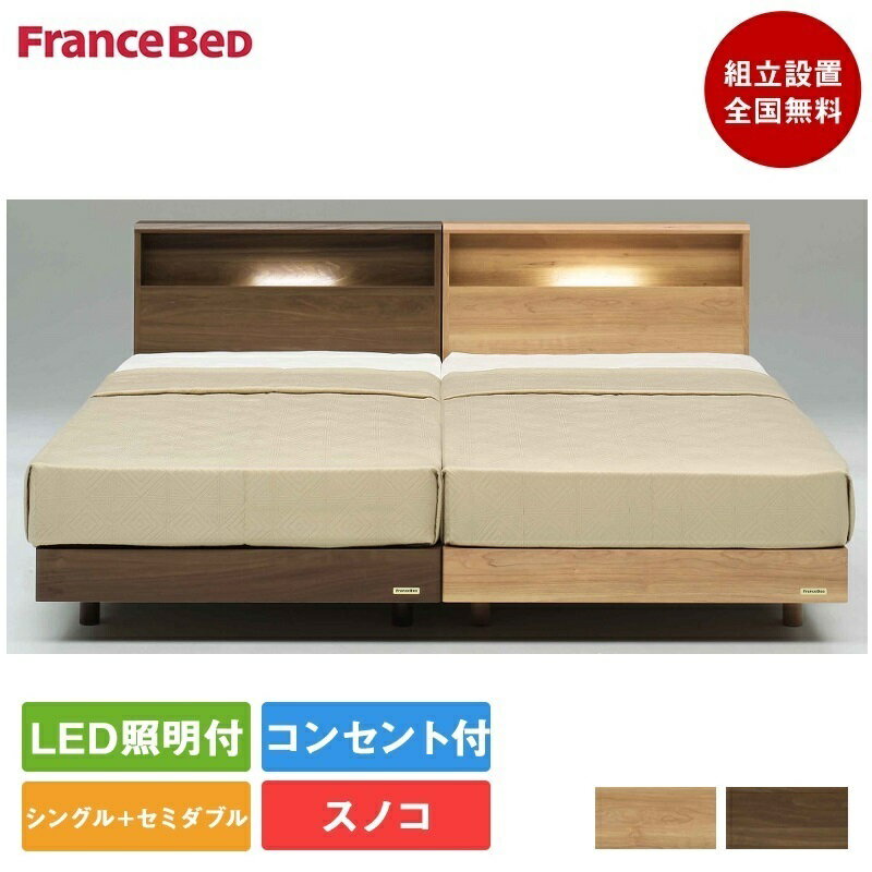 【2台セット特価】フランスベッド ベッド シングル×1台 セミダブルサイズ×1台 PR70-06C 脚付き TW-010α | 正規品フランスベッド製 目玉 マットレス付き マットレス 70周年 pr7006 TW010