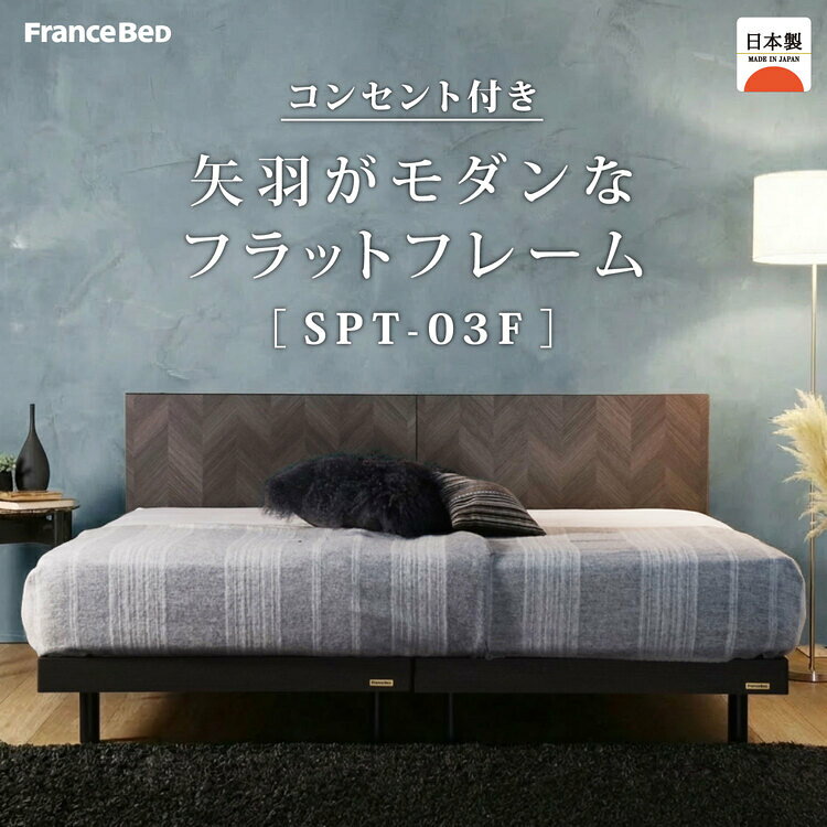 【セット特価】フランスベッド ベッド シングル SPT-03F ZI-100 | 正規品 シングルベッド マットレス付き マットレスセット ベッドセット 抗菌 矢羽 モダン おしゃれ コンセント コンパクト 省スペース スノコ [3]