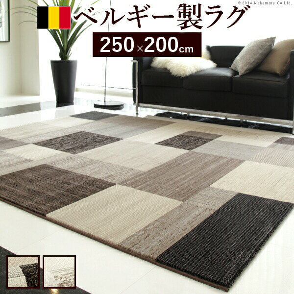 300߰ݥۡ٥륮ѥåĴǥ ȥ 饰 ꡼ 250200cm꿥Τ褦̩ȹ⤤...