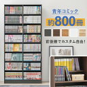 \300円引きクーポン配布/収納家具 本棚 ラック カラーボックス オープンラック 前後棚でカスタム自由なブックシェルフVKB-7271 大容量 コミック マンガ 本棚 収納