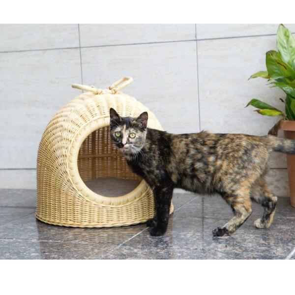 ＼300円引きクーポン進呈／ 【ランキング受賞】 猫用品 ラタンペットハウス 大 46cm×46cm×42cm猫用品 犬用品 小屋 ペット 移動用 室内 ベッド GNM1321H大 猫用品 ベッド マット ベッド 猫用品 犬用品 小屋 ペット 移動用 室内