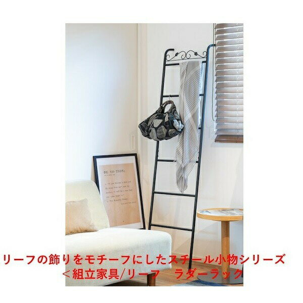 ＼本日P6倍!300円クーポン／リーフ ラダーラック 収納家具 本棚 ラック カラーボックス9102 ...