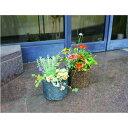 \300円引きクーポン配布/フラワーポット Fタイプ ガーデニング・農業 植木鉢・プランター プランター86273 フラワーポット ポット ガーデニング エクス...