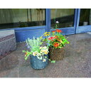 \300円引きクーポン配布/フラワーポット Hタイプ ガーデニング・農業 植木鉢・プランター プランター86295 フラワーポット ポット ガーデニング エクス...
