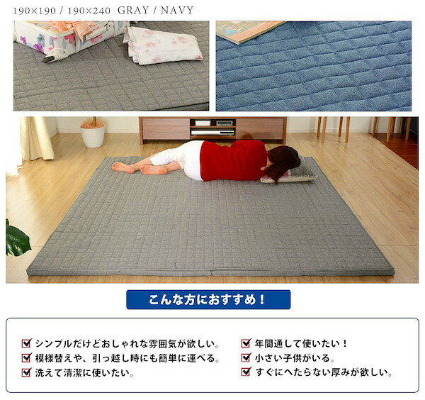 カーペット マット 畳 カーペット ラグ 「和楽のZONIA」ラグマットL 190×240cm a82710314 ラグマット マット L Lサイズ 大き目 クッションマット ラグ セット シンプル 洗濯 清潔 オールシーズン プレイマット 子供部屋 リビング 日本製 [3]