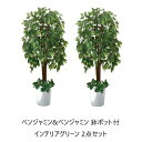 ＼300円引きクーポン進呈／ 【ランキング受賞】 花・観葉植物 観葉植物 ベンジャミン&ベンジャミン 鉢ポット付 インテリアグリーン 2点セットa25849 水やり不要 造木 ボリューム 自然 間仕切り