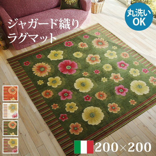 300߰ݥۡꥢ㥬ɿ饰ޥå ե 200x200cm ڥå ޥå  ڥå 饰61...
