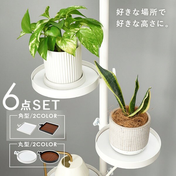 ＼本日300円クーポン配布/突っ張り棒&パーツ 6点セット 収納家具 本棚 ラック カラーボックス ハンガーラック コートハンガーKTR-3116 コート ハンガー 小物 ディスプレイ 収納 丸型 角型 まる しかく 見せる収納 [2]