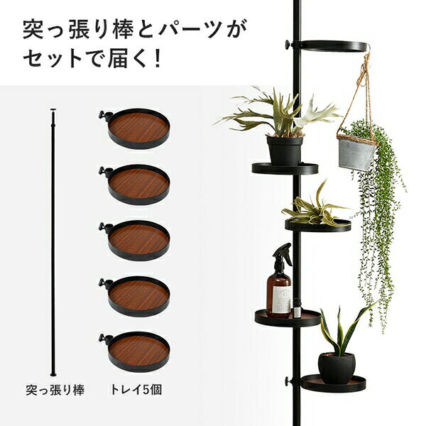 ＼本日300円クーポン配布/突っ張り棒&パーツ 6点セット 収納家具 本棚 ラック カラーボックス ハンガーラック コートハンガーKTR-3116 コート ハンガー 小物 ディスプレイ 収納 丸型 角型 まる しかく 見せる収納 [3]