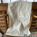 \300円引きクーポン配布/ボタニーレース テーブルセンター 40×120cm 配膳用品・キッチンファブリック テーブルランナーwk5221-l4 レース エレ...