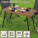 \300円引きクーポン配布/アルミロール天板テーブル 幅120cm エクステリア ガーデンファニチャー ガーデンファニチャー テーブルM5-MGKBO00060...