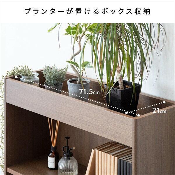 収納家具 本棚 ラック カラーボックス ウッドラック プランターラック Ramus（ラー...
