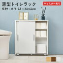 キャスター付 薄型トイレラック 幅59×奥行19.5×高さ63cm 収納家具 ランドリー サニタリーチェストRTR-1348 トイレラック 引き戸 省スペース ...
