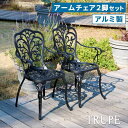 エクステリア・ガーデンファニチャー ガーデンファニチャー チェア アルミ製アームチェア2脚セット「トルペ」bks-c5289-2p チェア 椅子 スツール ファニチャー アルミ ガーデン 屋外 庭 ベランダ アウトドア 黒 ブラック