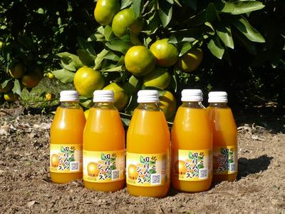 �̽��������󥹥ȥ졼�ȥ��塼��