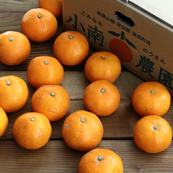 訳あり有田みかん■3kg(和歌山県産)10月下旬頃から順次発送