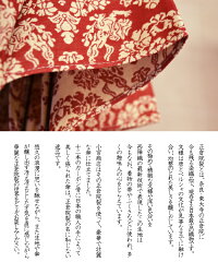 【送料無料】正倉院裂傘晴雨兼用雨傘12本骨55cm