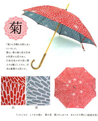 日本製「伊佐文様ふろしき晴雨兼用傘」長傘8本骨47cm|女性(レディース)/長傘晴雨兼用傘/日傘/傘レディースかさ/カサ/レデイース/ladies