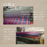 傘レディース雨傘雨雨晴兼用「甲州織裏チェック」日本製長傘<60cm8本骨>