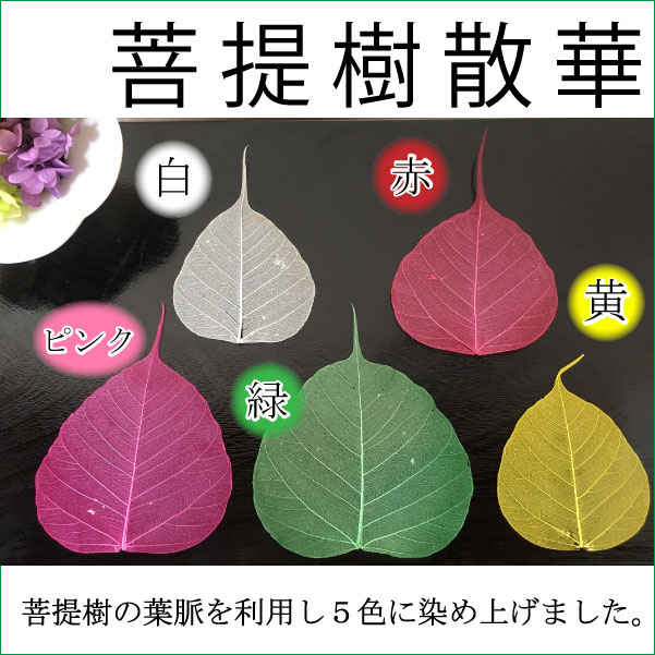 【菩提樹散華】5色入り100枚